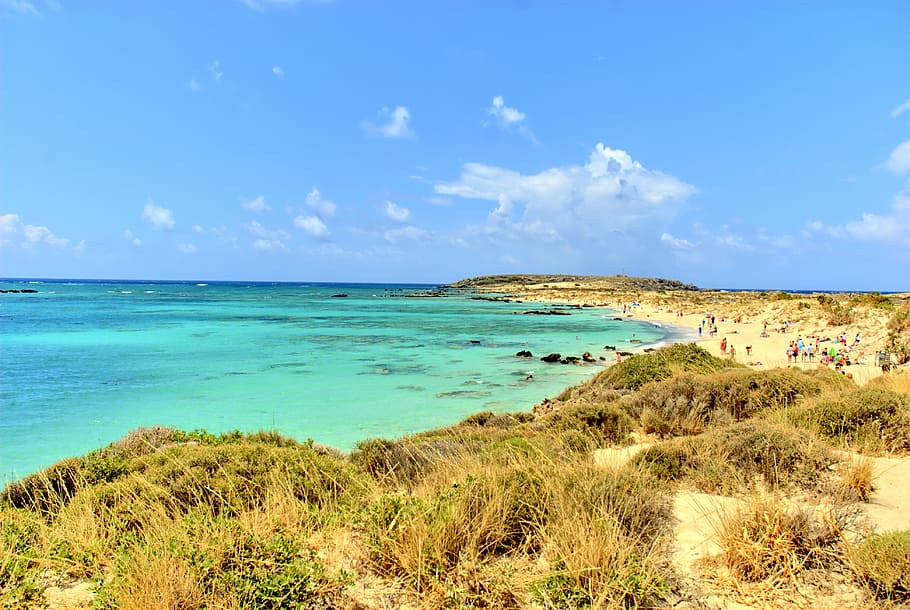 grécia, creta, elafonisi, praia, o sol, férias, verão, a costa, água, mar