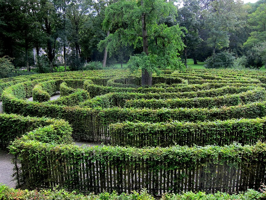 labyrinth, green, trees, nature, geometric, garden, away, deception, landscape, center