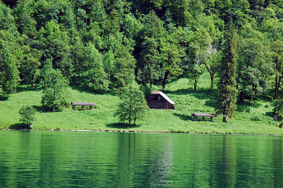 Lago, cabaña, Woodhouse, Suiza, otoño, descanso, Islandia, bosque, azul, escénico