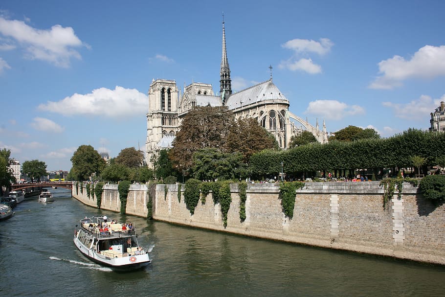 blanco, barco fluvial, cruce, al lado, marrón, hormigón, pared, Sánchez, Notre Dame, París
