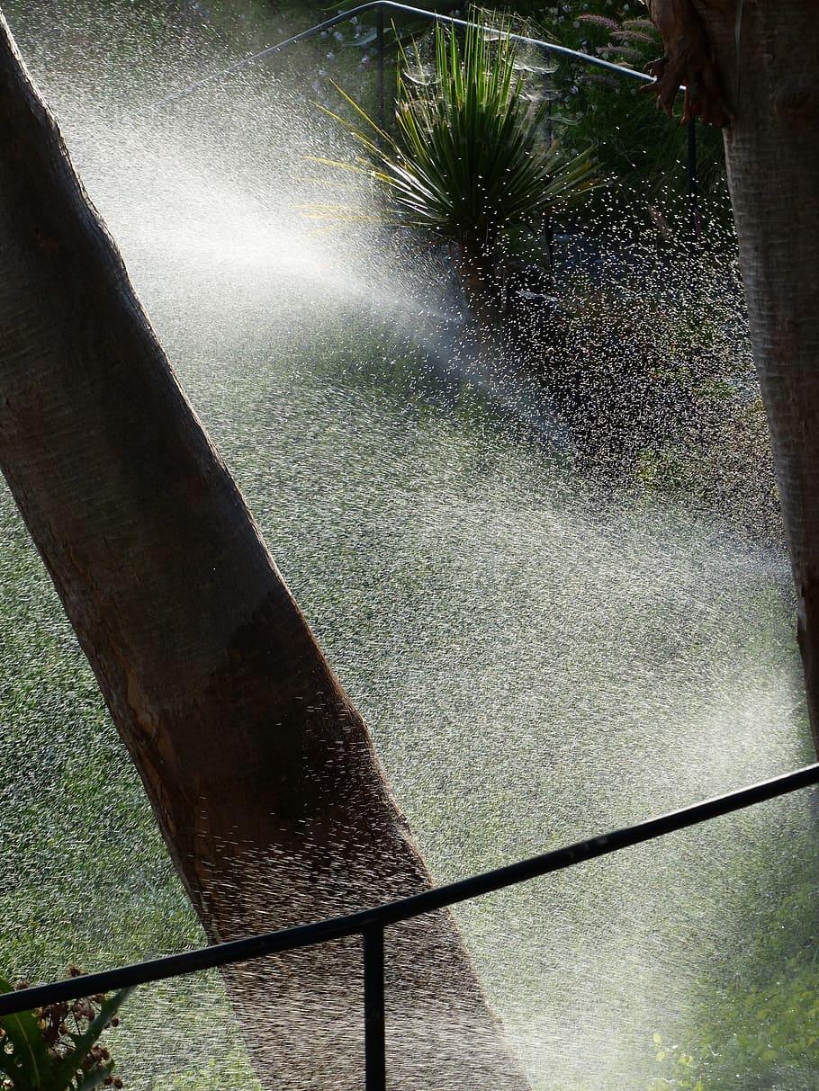 Irrigation, Sprinkler, Sprinkler System, irrigation, sprinkler, water, wet, plant, drop of water, inject, nature