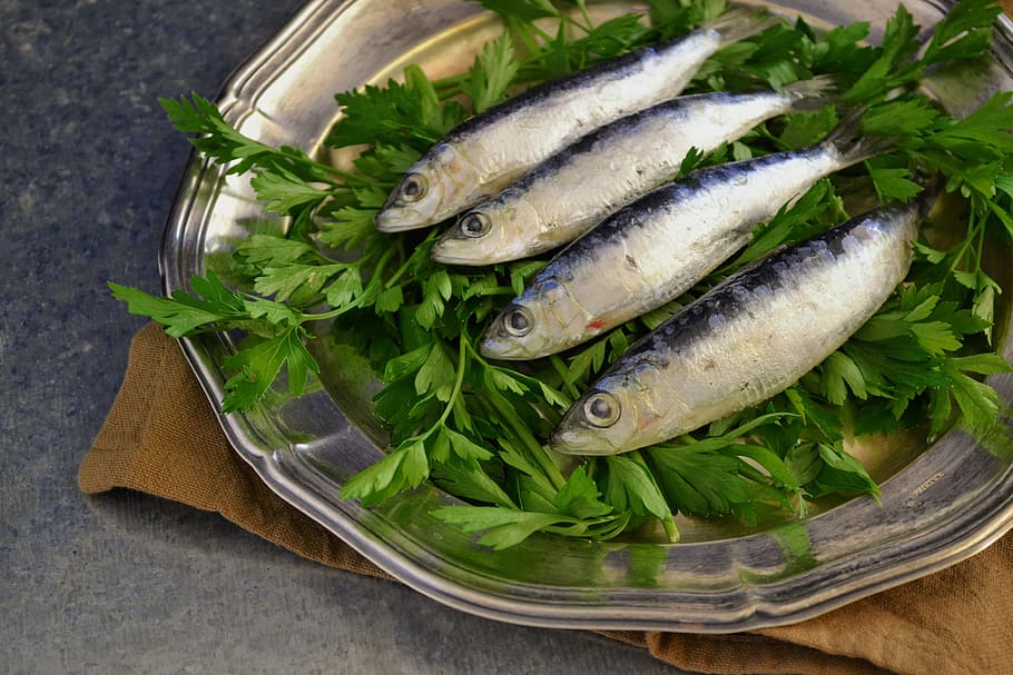 Sardines, Fish, Parsley, fresh fish, plated, metallic plate, plate, plated food, fresh, marine
