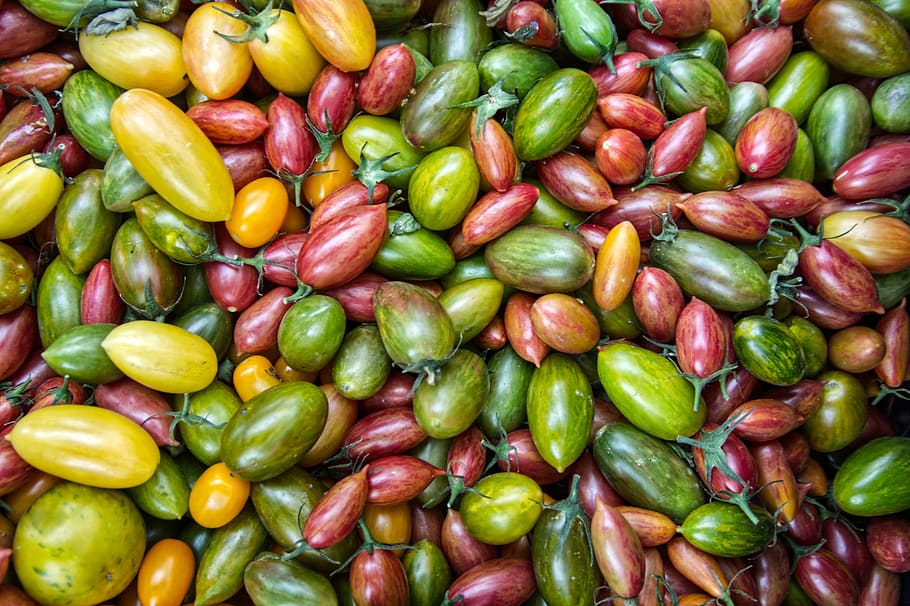 colorful, tomatoes, background, market, organic, food, fruit, fresh, harvest, garden