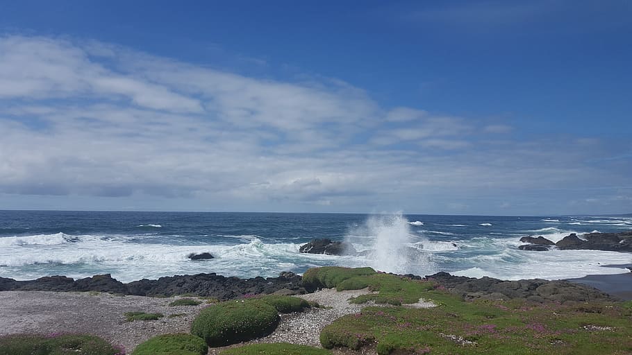 Тихий океан фото. Стражи Тихоокеанского моря. Pacific Ocean. Фото Coast of Chile the Pacific Ocean.