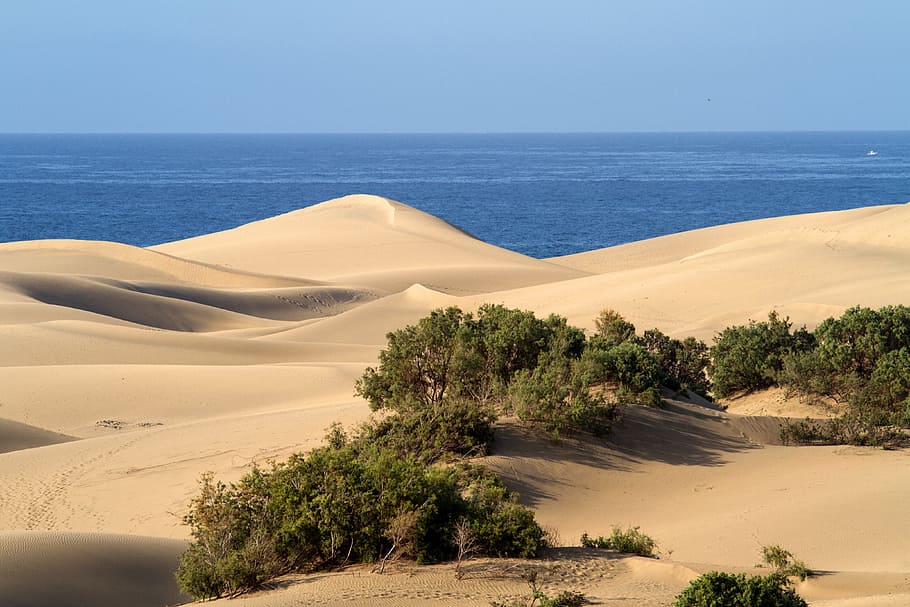 Gran Canaria, Sand Dunes, Maspalomas, sand, sand dune, desert, scenics, arid climate, landscape, land