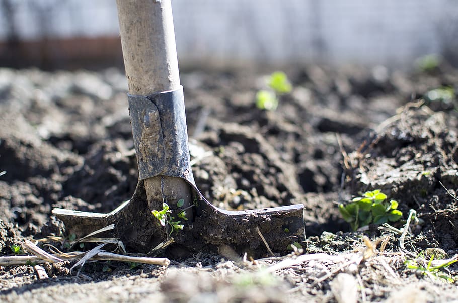 shovel on land, equipment, outdoors, dirt, dig, farming, garden, nature, ground, organic