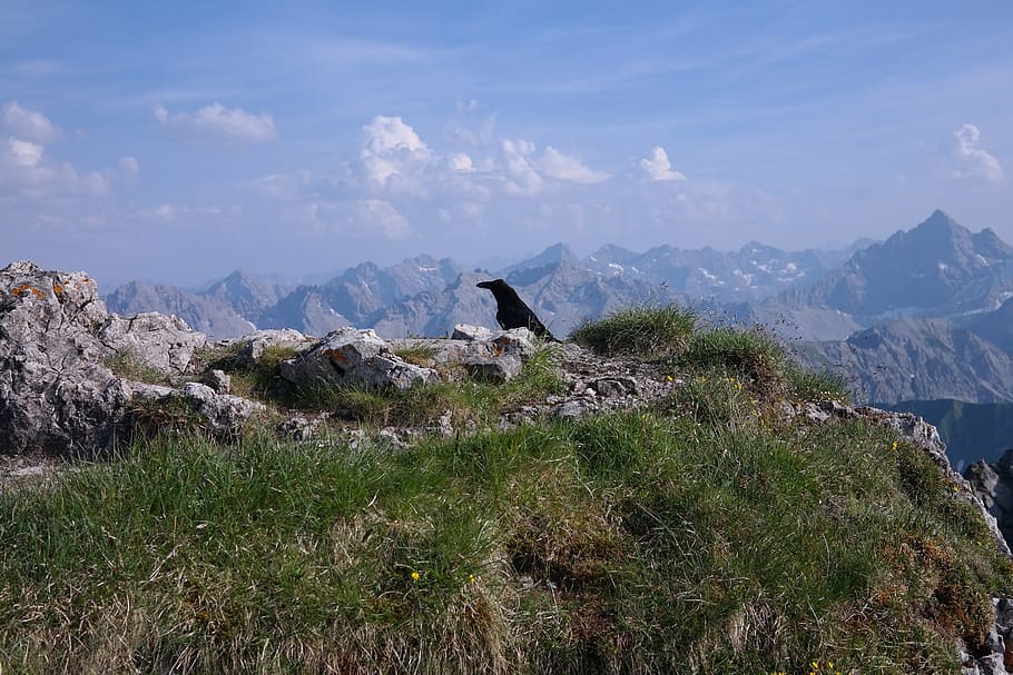 rough horn, summit, outlook, alpine, allgäu, allgäu alps, hochvogel, mountain, beauty in nature, scenics - nature