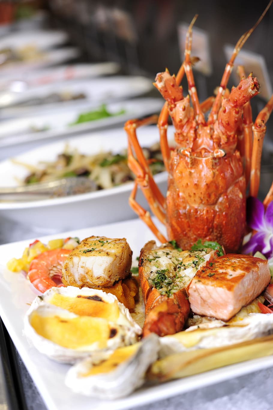 amigo, seafood, lobster, food and drink, food, ready-to-eat, freshness, meat, plate, healthy eating