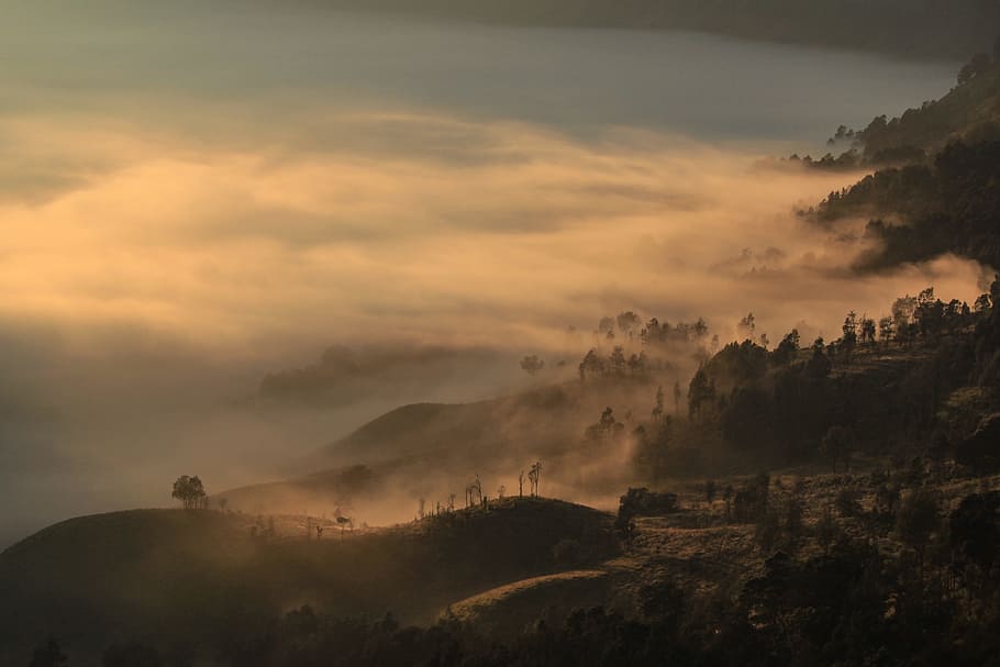 foggy mountain, foggy, mountain, morning, dawn, fog, mist, hills, light, outdoor