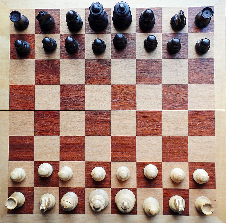 chess, chess board, chess pieces, checkmated, chess game, black, play, game of kings, players, springer