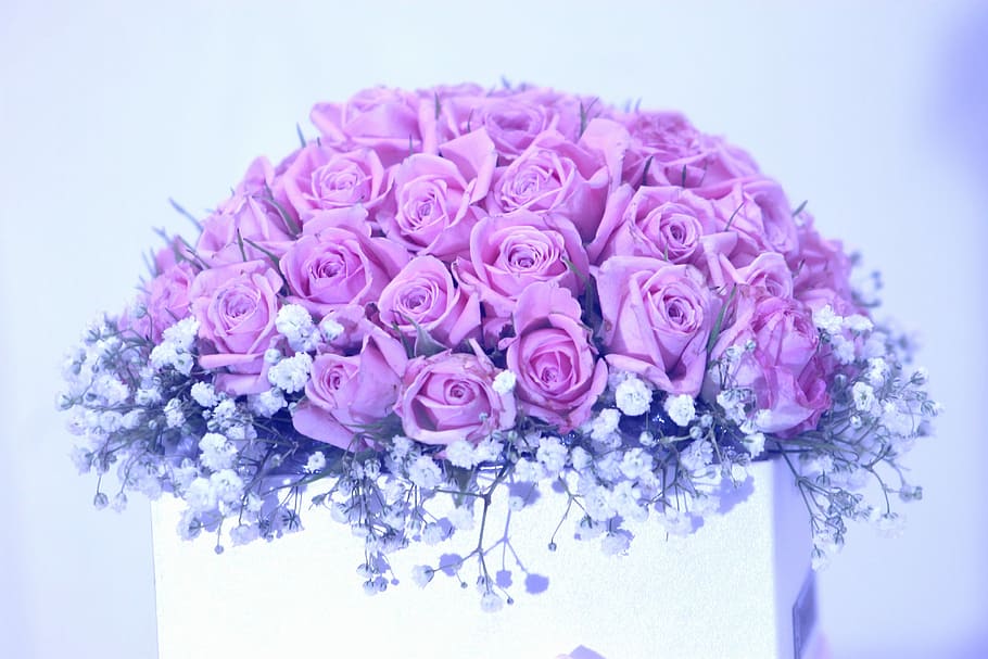 pink, rose, flowers, baby, breath flowers bouquet, white, vase, bouquet, wedding, wedding anniversary