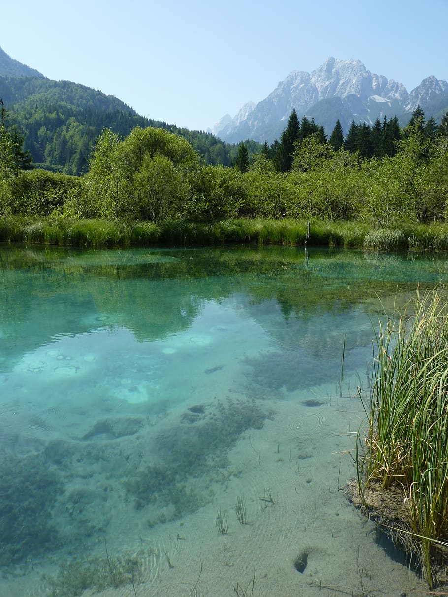 eslovênia, montanhas, lago, água, limpar, paisagem, frio, árvores, vista distante, ensolarado