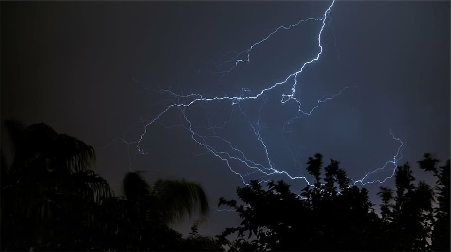lighting, nighttime, lightning, silhouette, trees, night, sky, dark, power  in nature, thunderstorm | Pxfuel