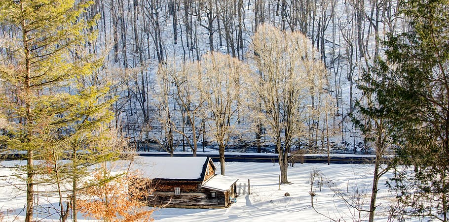 brown, cabin, woods, covered, snow, person, showing, house, winter, trees