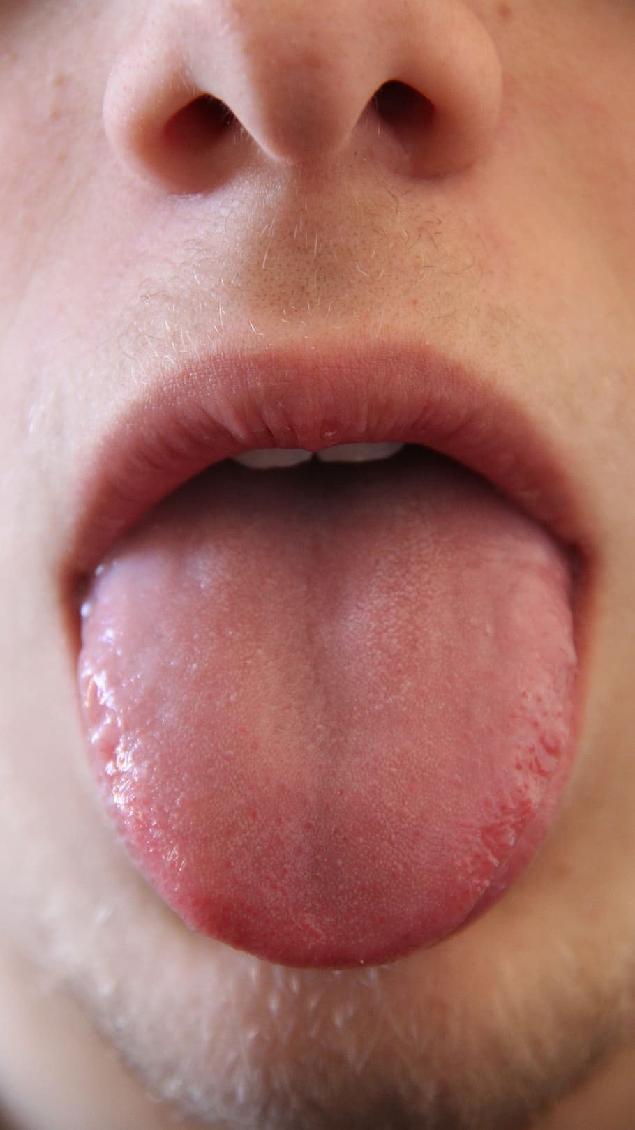 close, person, tongue, close up, mouth, mammal, human, anatomy, head, face