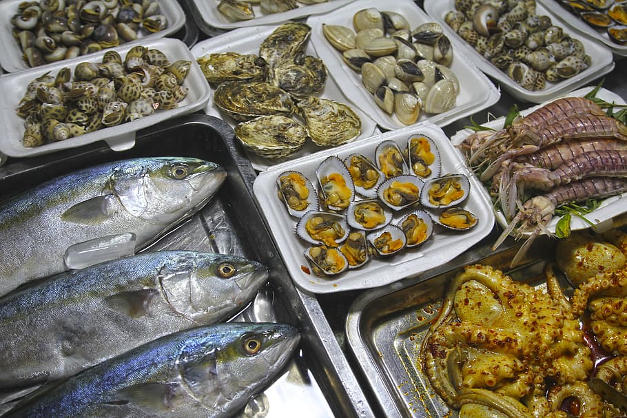 frutos do mar, peixe, comida, salmão, fresco, refeição, restaurante, delicioso, atum, saudável