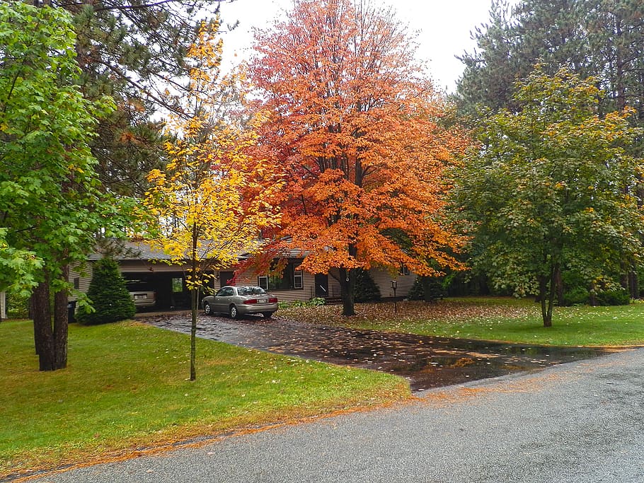 fall, front yard, orange, yellow, foliage, leaves, driveway, wisconsin, kronenwetter, autumn
