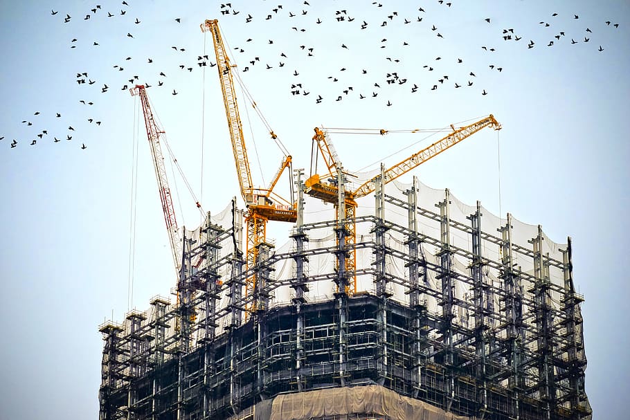 edificio, construcción, grúas, torre, bienes raíces, cielo, pájaros, maquinaria, grúa - maquinaria de construcción, industria de la construcción