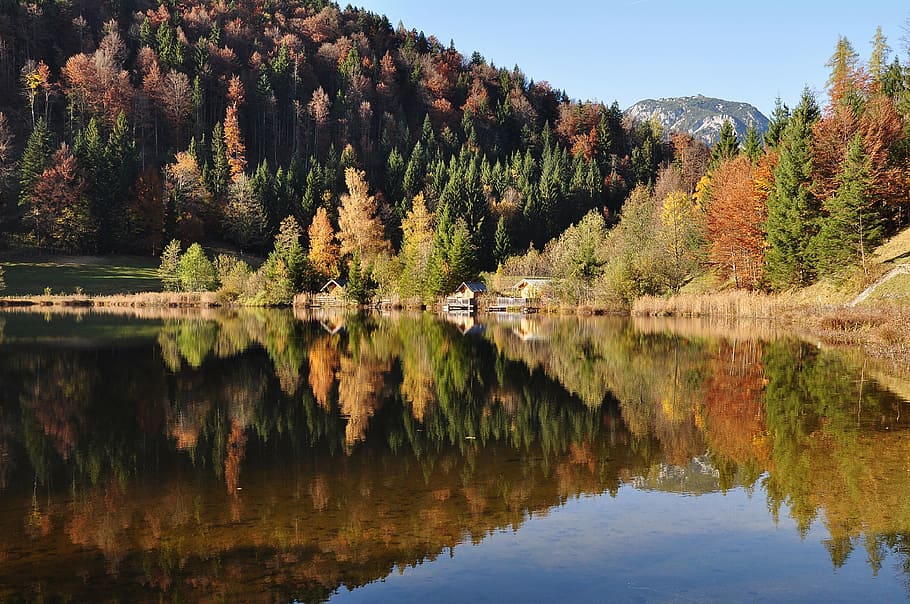 calm, body, water, surrounded, trees, autumn, autumn mood, nature, golden autumn, autumn colours