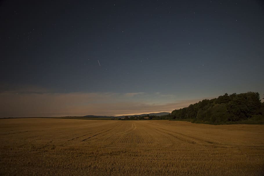 the sky, night, field, night sky, dark, clouds, atmosphere, tree, country, in the evening