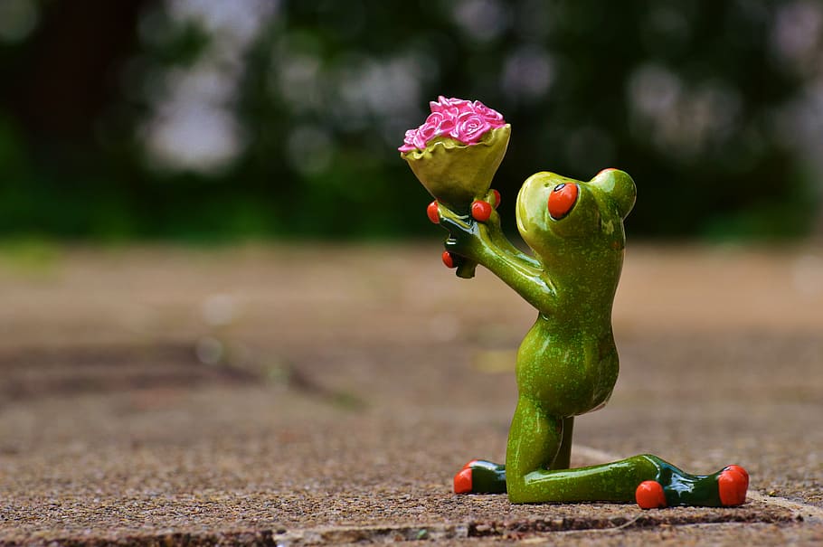 green, frog, holding, bouquet, flowers figurine macro shot, i beg your pardon, excuse me, sweet, cute, funny