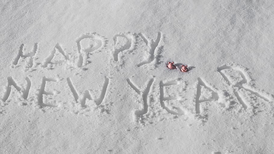 feliz año nuevo, buena suerte, día de año nuevo, deseos, víspera de año nuevo, cerdo afortunado, saludos de año nuevo, saludo de año nuevo, tarjeta de felicitación, cambio de año