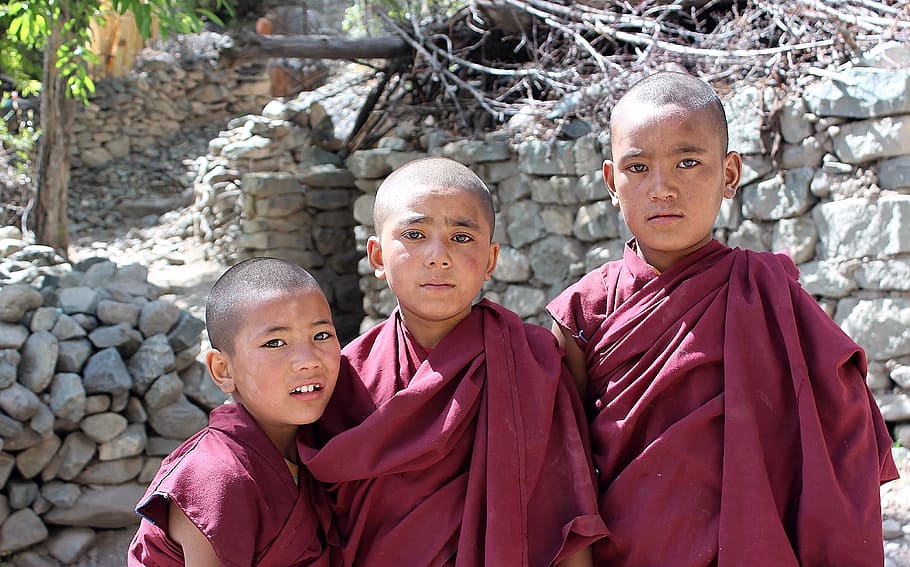 three, boys, monk outfits, the disciples, budhisti, children, india, ladakh, eyes, monk - Religious Occupation