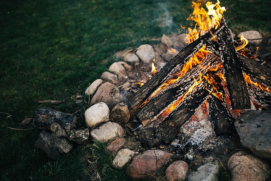 api unggun musim panas, Musim Panas, api unggun, liburan, kamera, outdoor, alam, luar, api, kayu