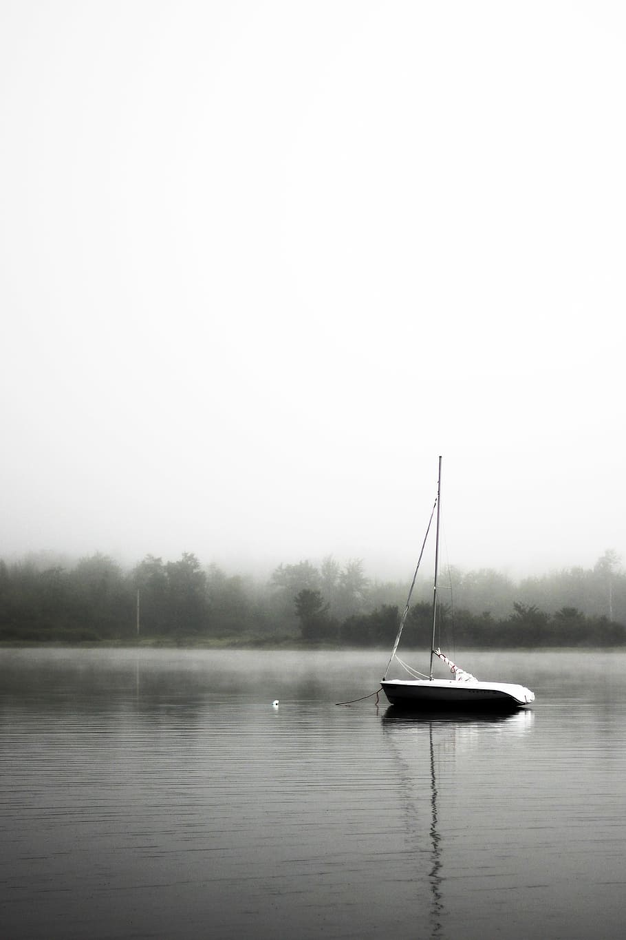 boat, body, water, lake, sailing, fog, black and white, trees, outdoor, nature