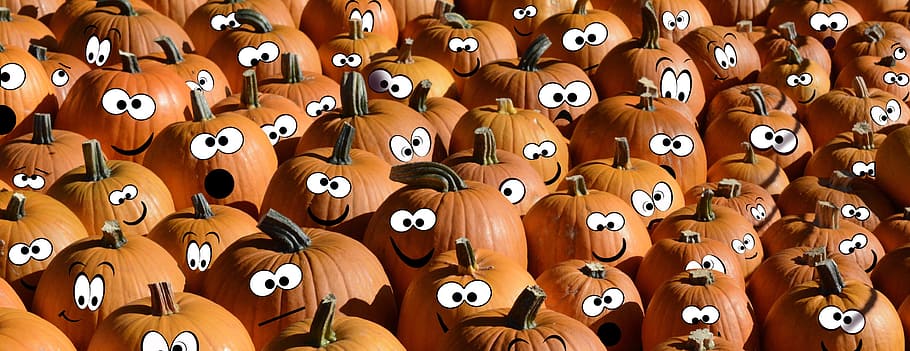 squash lot, halloween, halloweenkuerbis, halloween pumpkins, pumpkins, faces, photo montage, edited, autumn, thanksgiving