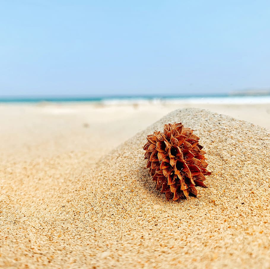 sun, hello january, beach, summer, light, travel, holiday, nature, island, sand