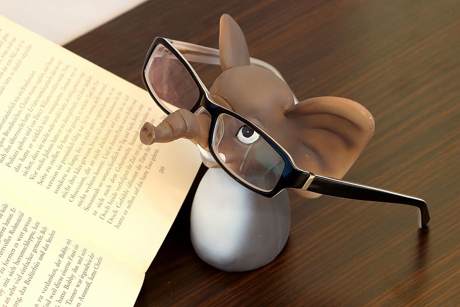 brown, white, elephant plastic figure, book, elephant, glasses, reading glasses, read, lenses, eyeglass frame