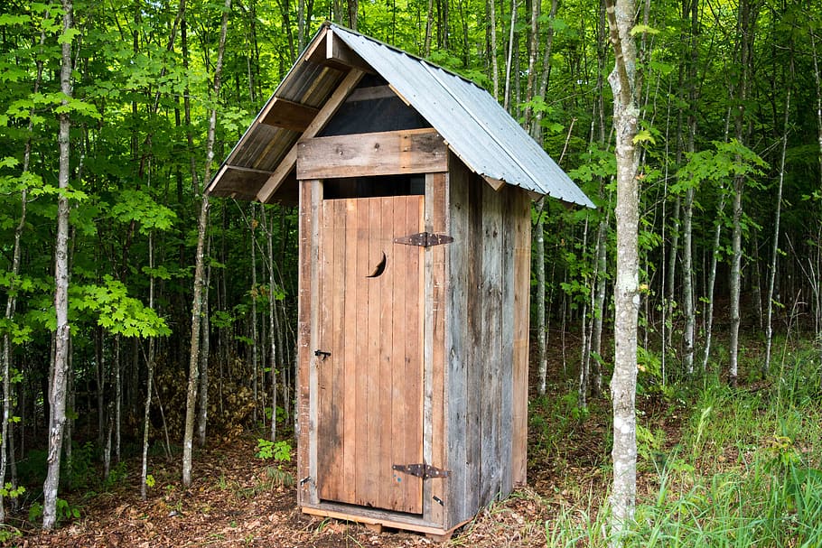 outhouse, bathroom, camping, outdoors, rustic, nature, privy, sanitation, shack, forest