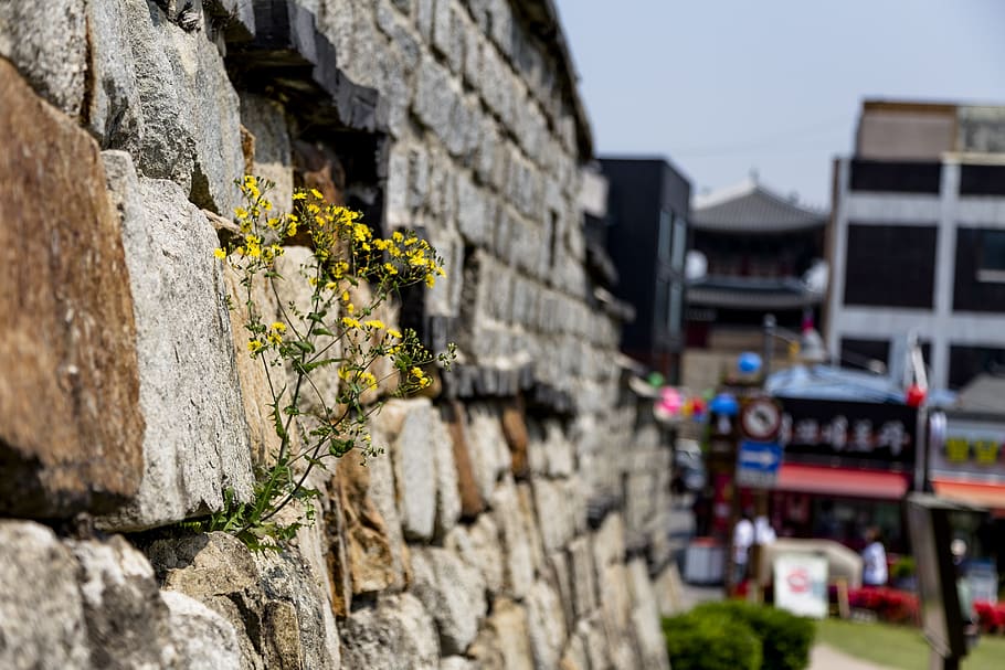 paldalmun gate, south gate, castle, korea, republic of korea, suwon, suwon hwaseong, unesco, world cultural heritage, built structure