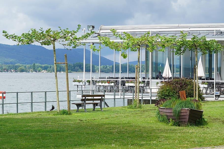 Untersee, Lake Constance, Zellersee, Beach Cafe, Península, Mettnau, Radolfzell, césped, planta, agua