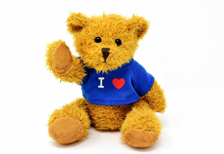 brown, bear, wearing, purple, shirt, plush, toy, teddy, cute, animal