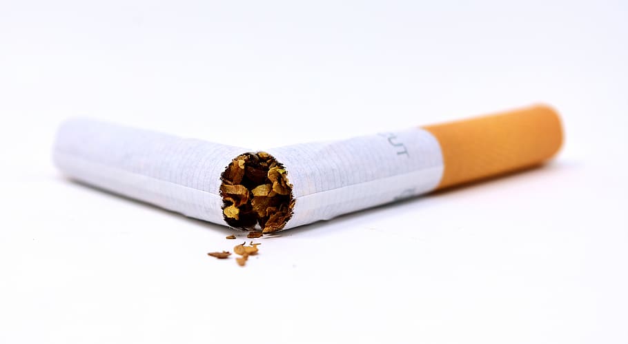 cigarro, quebrado, insalubre, tabagismo, vício, dependência, tabaco, prejudicial, mau hábito, fundo branco