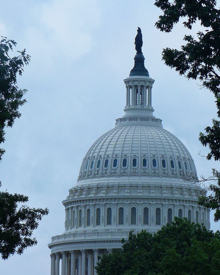 us capitol building, washington dc, government, democracy, landmark, capitol hill, building, architecture, dome, tree