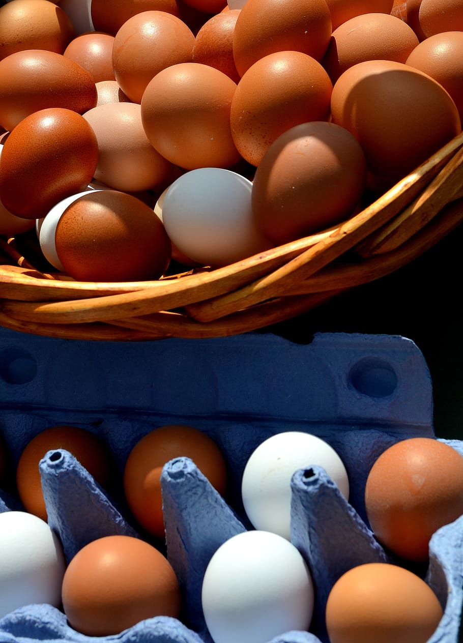 egg, hen's egg, egg box, close, basket cosy, egg carton, brown egg, raw egg, brown eggs, food