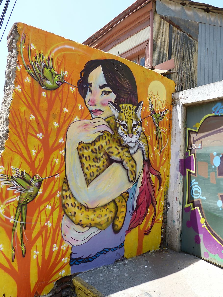 chile, south america, valparaiso, wall, grafitti, art, painting, facade, creativity, sprayer