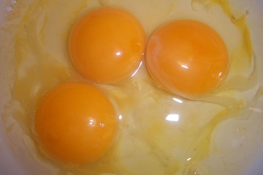 Eggs, Yolks, Breakfast, Protein, Yellow, cooking, frying, meal, cholesterol, food