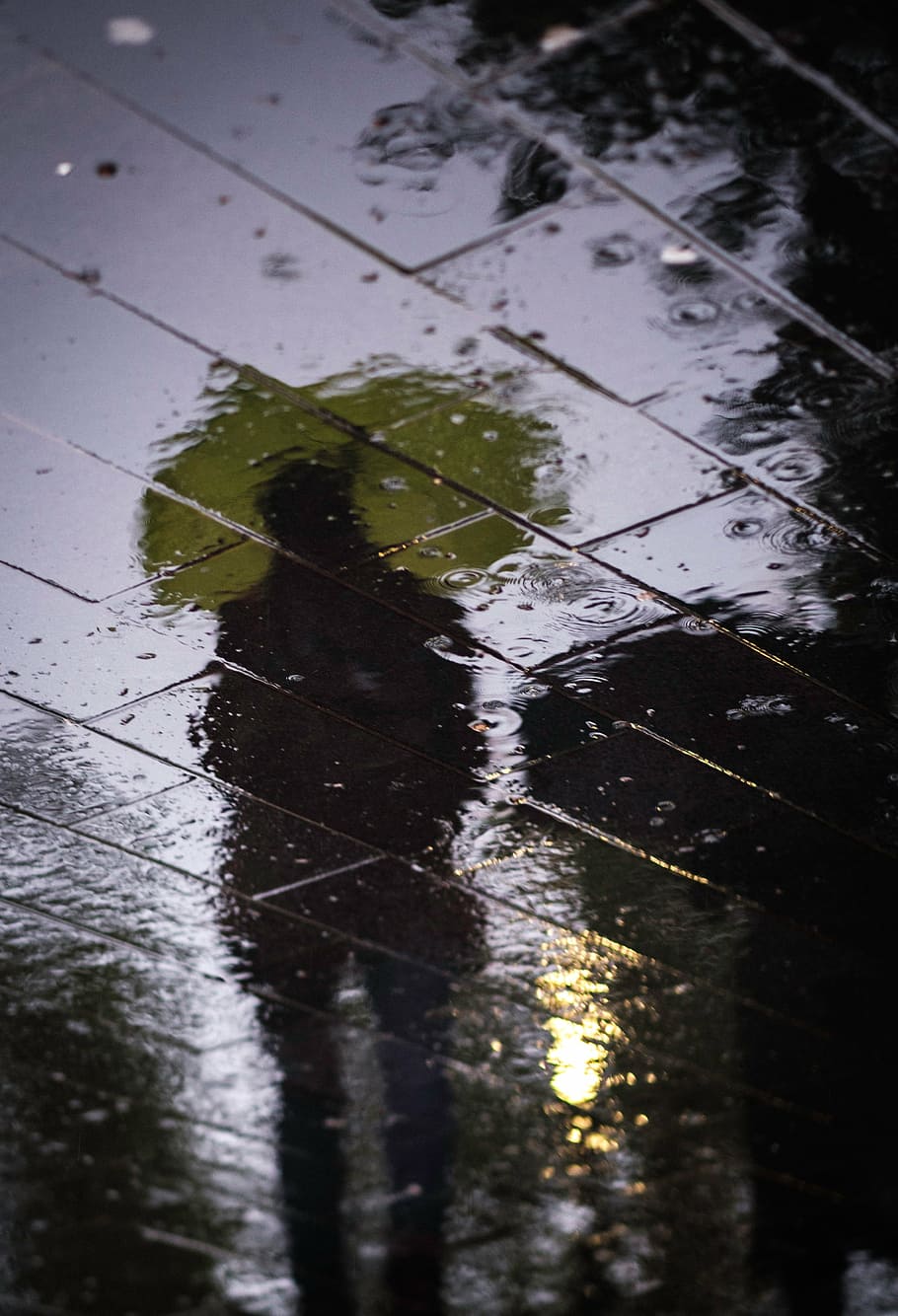 тень, человек, проведение, зонтик, дорога, улица, мокрый, вода, дождь, люди