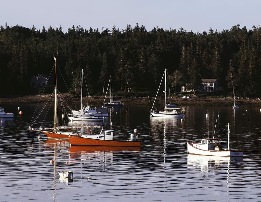 Boats, Southwest Harbor, Maine, Water, southwest harbor, maine, seascape, fishing, scenic, coastal, ocean