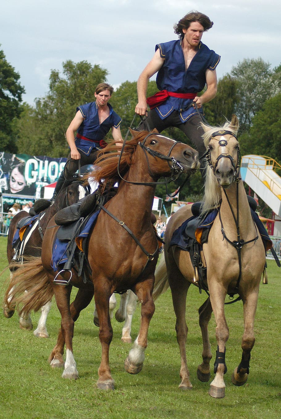 Horse, Stunt, Equestrian, Animal, countryside, equine, horsewoman, horsemanship, dressage, full length