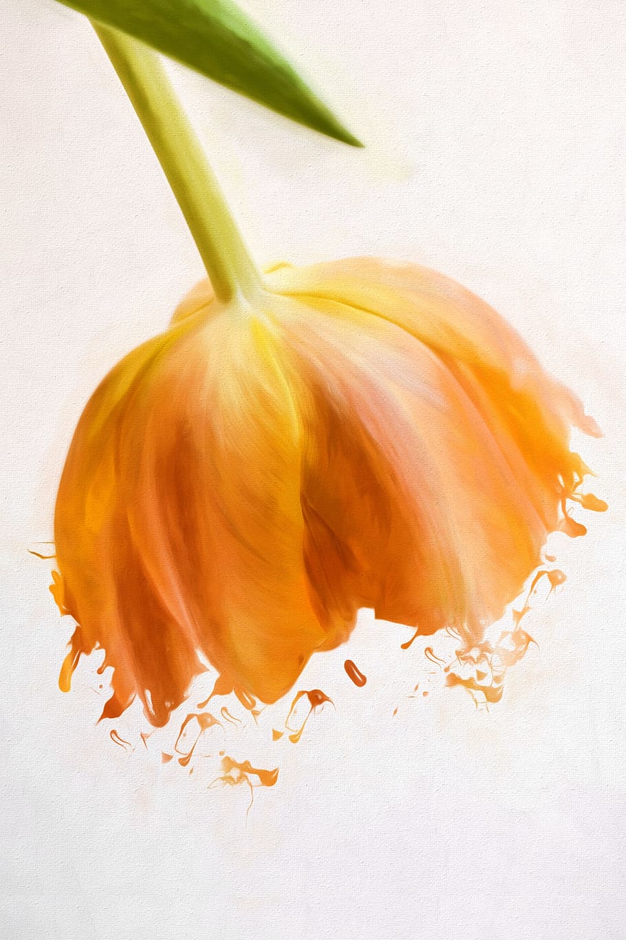 Imagem, Pintura, Pintado, Tulipa, Flor, laranja, flor de laranjeira, tinta, flor de primavera, flor de primavera laranja