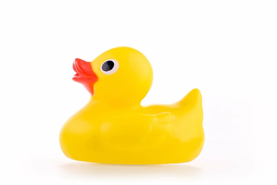 yellow rubber ducky, toy, bath, rubber, duck, studio, white background, yellow, rubber Duck, duckling