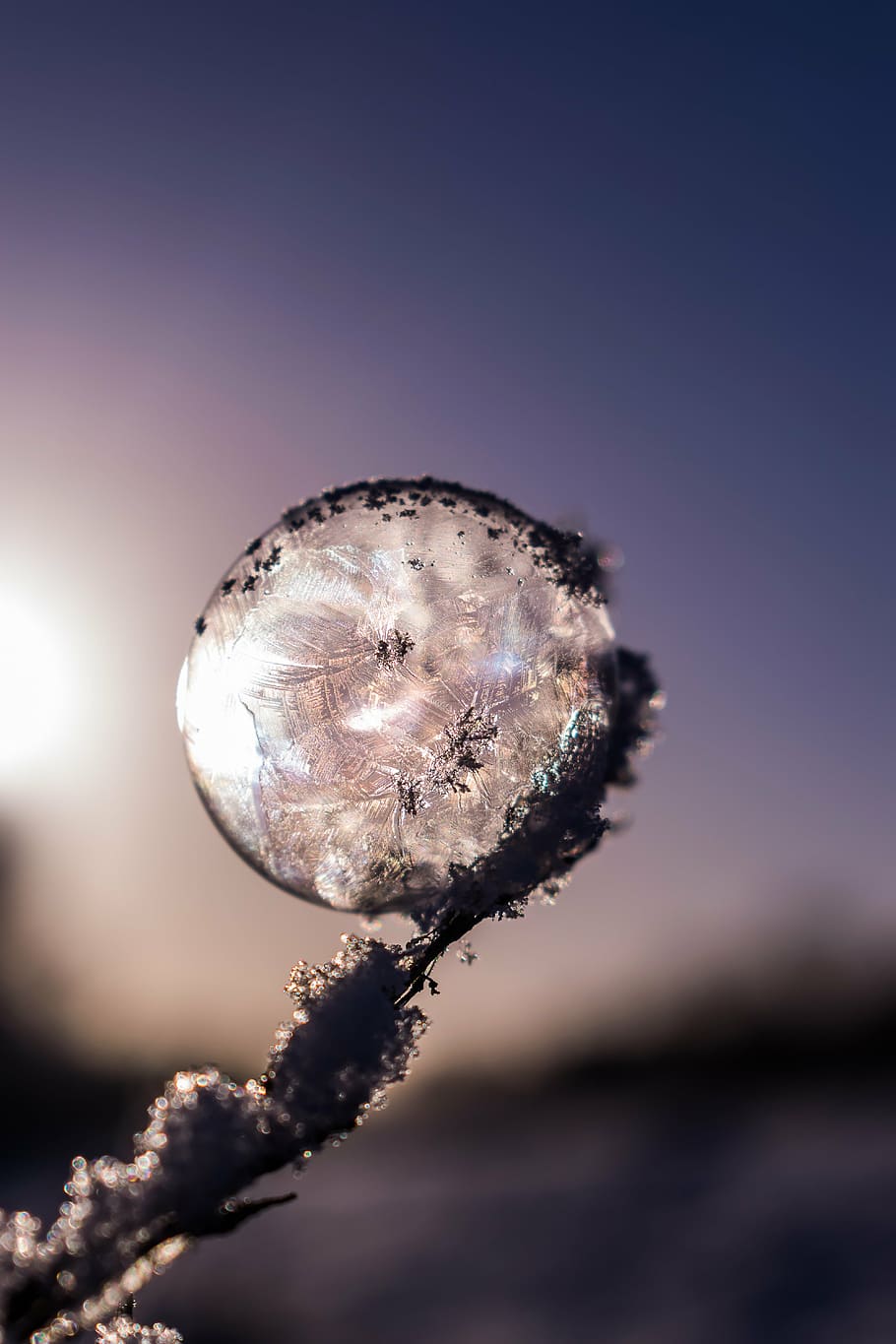 fucos photography, ice, soap bubble, frozen, frozen bubble, winter, eiskristalle, wintry, cold, snow
