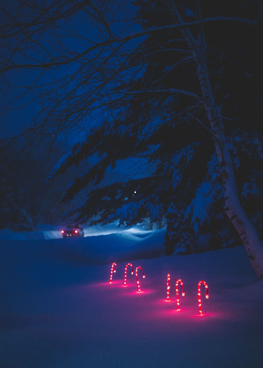 postes de luz de bastón de caramelo, nieve, cubierto, tierra, seis, rojo, blanco, cuerda, luces, bastones