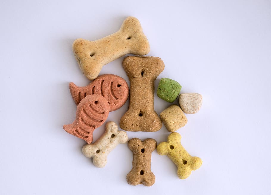 assorted-shape pet treats, treats, dog, bone, dog food, dogs lick us, reward, eat, pet leckerli, cookie