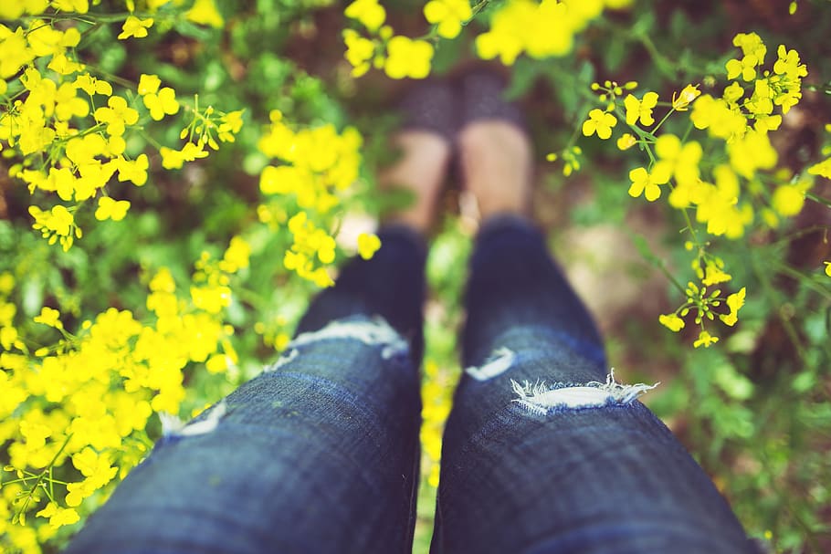 pernas, natureza, flores, menina, mulher, jeans, jardim, perna humana, seção baixa, uma pessoa